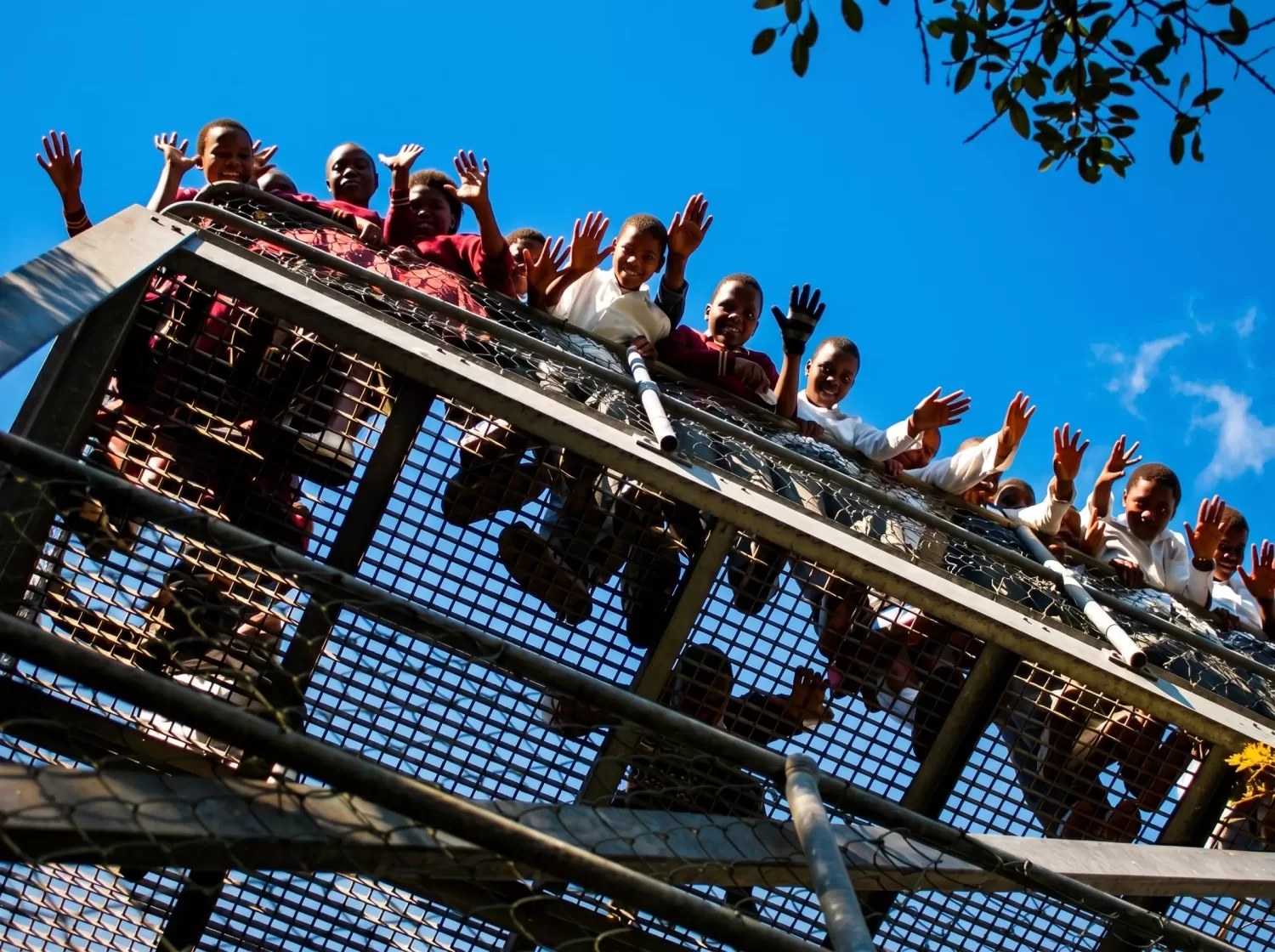 School Group on Dlinza Forest Aerial Boardwalk
